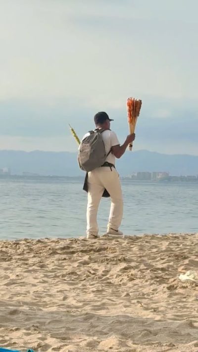 Playa De Los Muertos в апреле — фото погоды (2026-04-21)