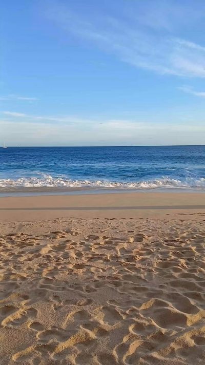 Grand Solmar Land's End Resort & Spa Cabo San Lucas — фото погоды в феврале (2026-02-04)