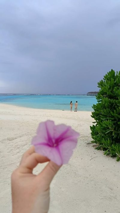 Maldives - The Ultimative Paradise в мае — фото погоды (2025-05-01)