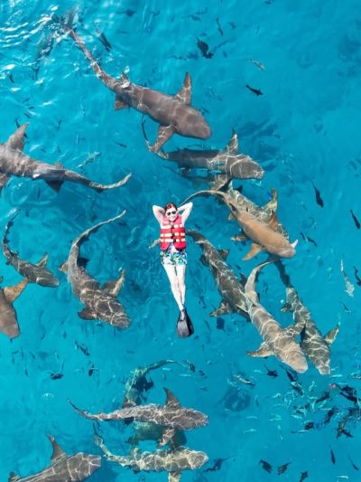 Maldives - The Ultimative Paradise в декабре — фото погоды (2025-12-07)