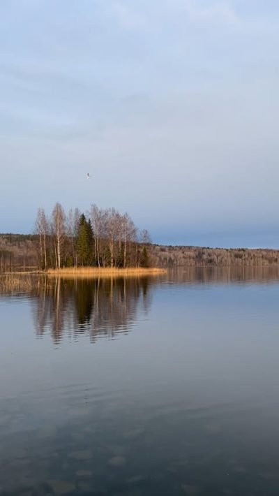 Спасская Губа в апреле — фото погоды (2026-04-16)