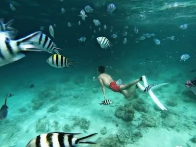 Skeleton Wreck Coron Palawan в ноябре — фото погоды (2025-11-30)