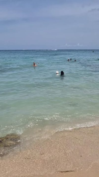 Playa Blanca, Isla Barú - Cartagena de Indias в июне — фото погоды (2026-06-22)