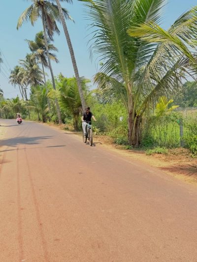 Dear Zindagi Road, Goa в мае — фото погоды (2026-05-17)