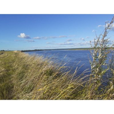 Великий Устюг в августе — фото погоды (2020-08-21)
