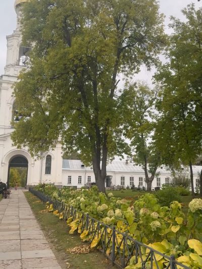 Великий Новгород в октябре — фото погоды (2025-10-06)