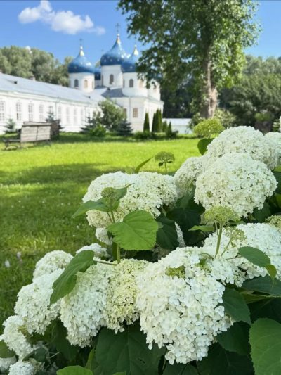 Юрьев монастырь в июле — фото погоды (2026-07-18)