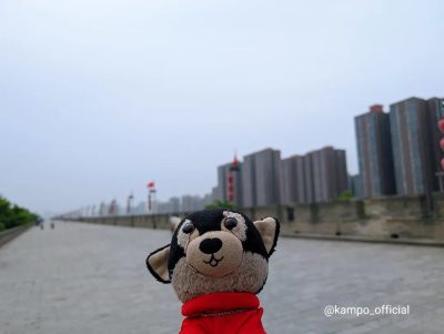 Fortifications of Xi'an в июле — фото погоды (2025-07-11)