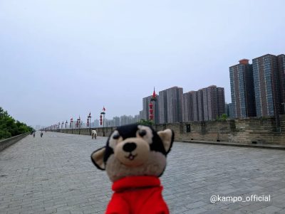 Fortifications of Xi'an в июле — фото погоды (2025-07-11)