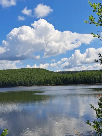 Широковский в июле — фото погоды (2025-07-09)