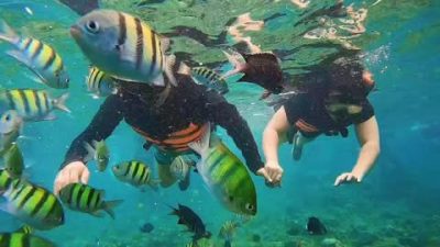 Balicasag Island Panglao Bohol в мае — фото погоды (2026-05-25)