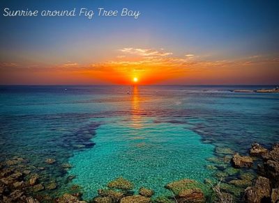 Fig Tree Bay в июле — фото погоды (2026-07-07)
