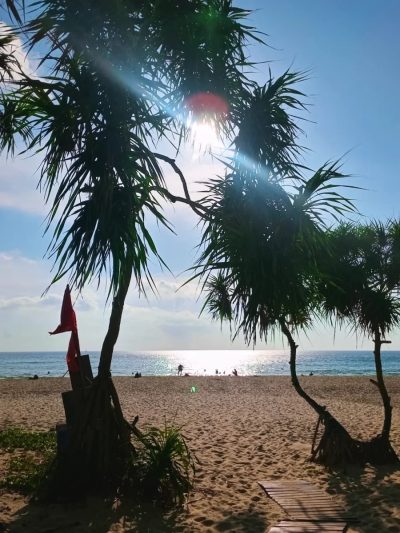 Centara Grand Beach Resort Phuket — фото погоды в марте (2026-03-19)