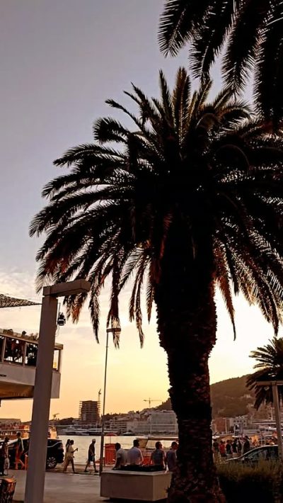 Split Riva - Split Riviera в июле — фото погоды (2026-07-01)