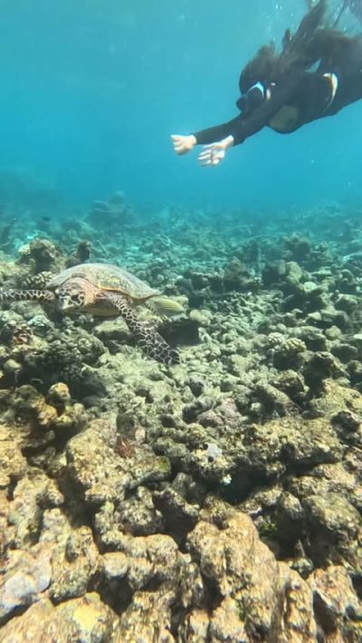Vaavu Atoll в мае — фото погоды (2026-05-27)