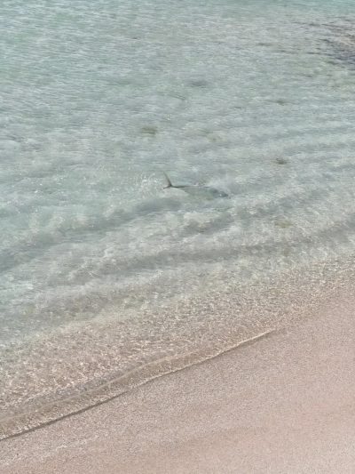 Cayo Vapor, Los Roques в январе — фото погоды (2026-01-12)