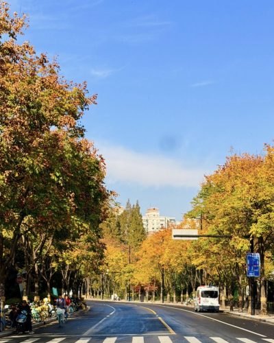 Шанхай в ноябре — фото погоды (2025-11-30)