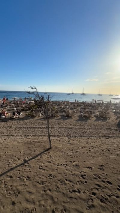 Playa Las Vistas - Tenerife в марте — фото погоды (2026-03-25)