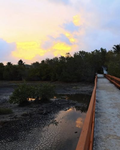 Hotel Playa Costa Verde — фото погоды в июле (2025-07-24)