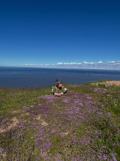 Белое море, Архангельская обл. в июне — фото погоды (2026-06-27)