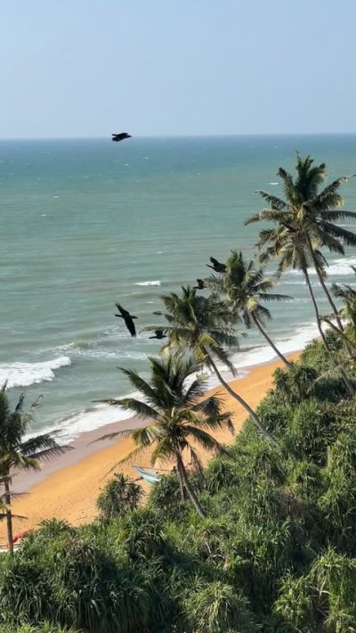 Turyaa Kalutara в январе — фото погоды (2026-01-28)