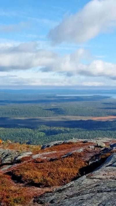 InKarjala - Туры в Карелию и на Кольский полуостров в апреле — фото погоды (2025-04-23)