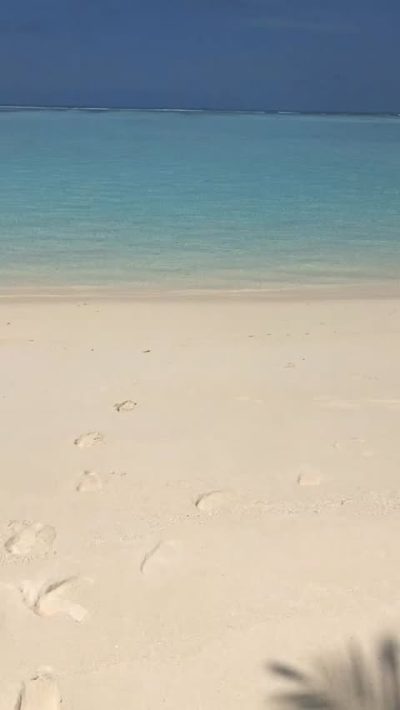 Niyama Private Islands Maldives в апреле — фото погоды (2026-04-10)