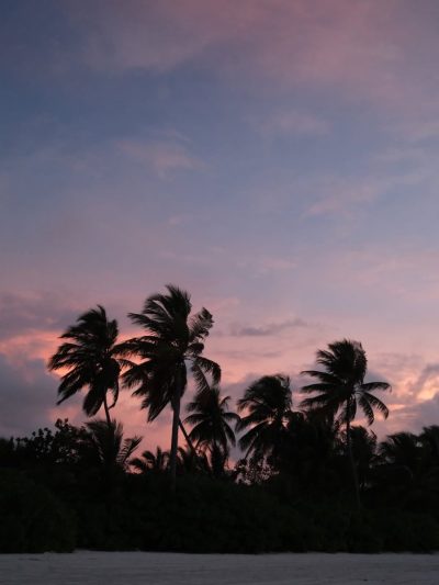 Niyama Private Islands Maldives в апреле — фото погоды (2026-04-11)
