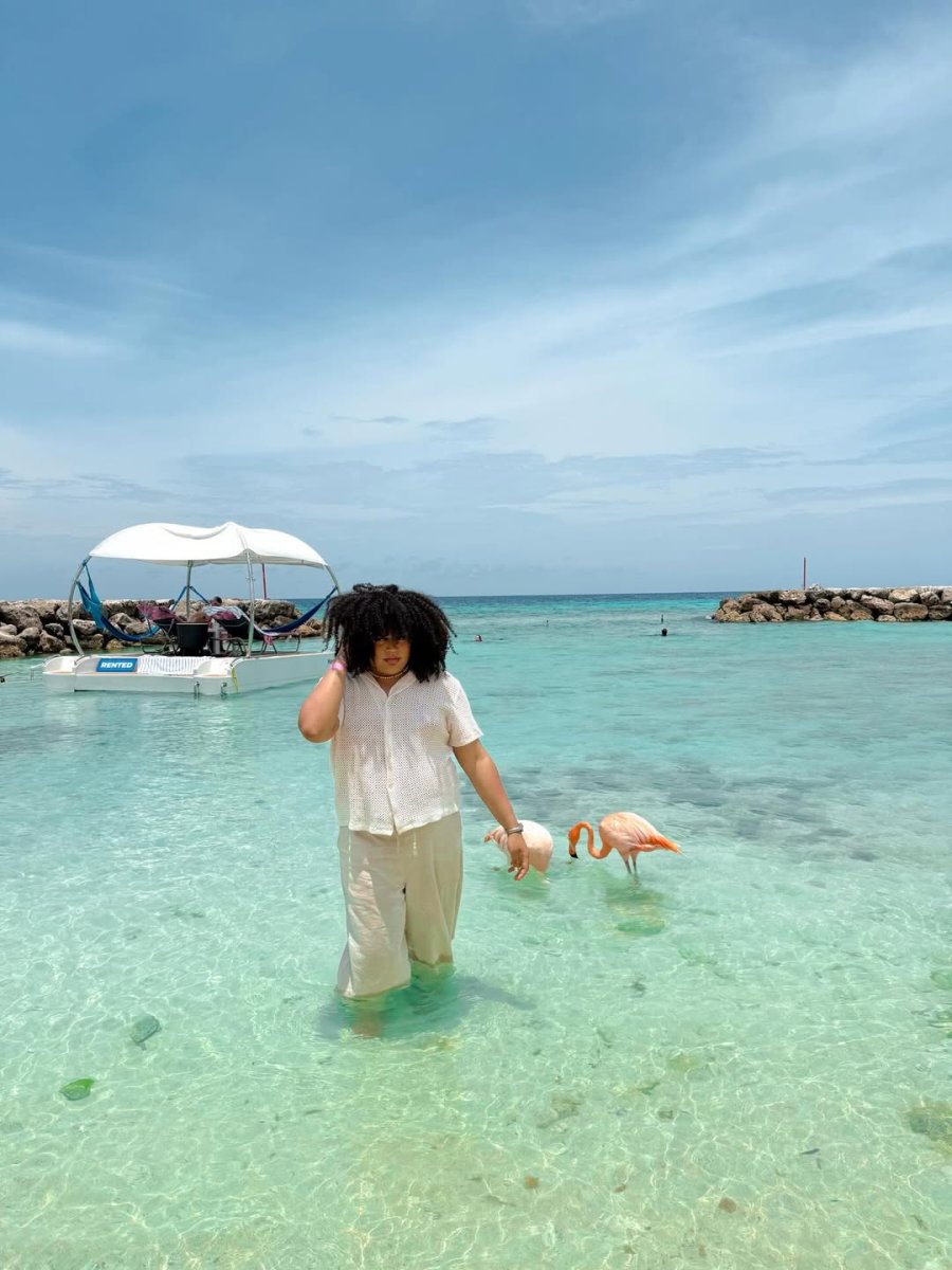 Погода в De Palm Island Aruba