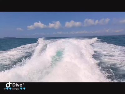 Tioman Dive Buddy (M) Sdn Bhd в августе — фото погоды (2025-08-28)