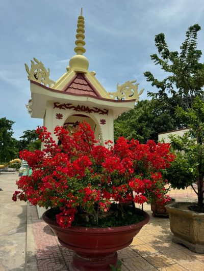 Chùa Từ Vân в августе — фото погоды (2025-08-15)
