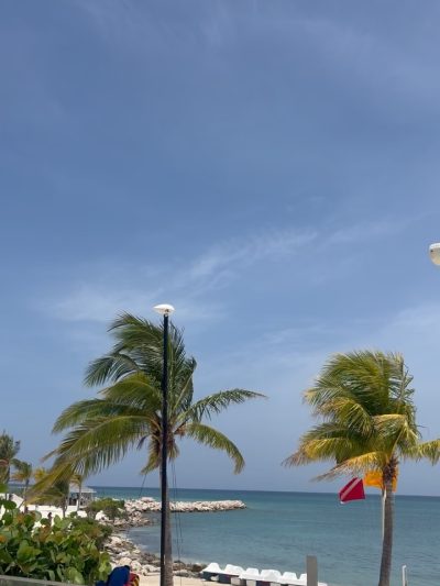 Riu Hotel Montego Bay Jamaica W.I. — фото погоды в мае (2026-05-29)