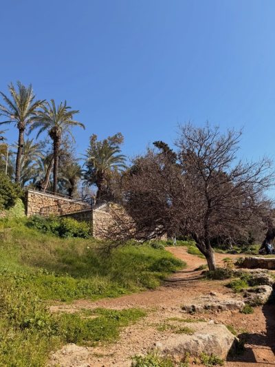 Kaleiçi Seyir Terası в марте — фото погоды (2026-03-01)