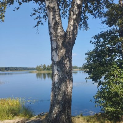 Никола Рожок в сентябре — фото погоды (2024-09-07)
