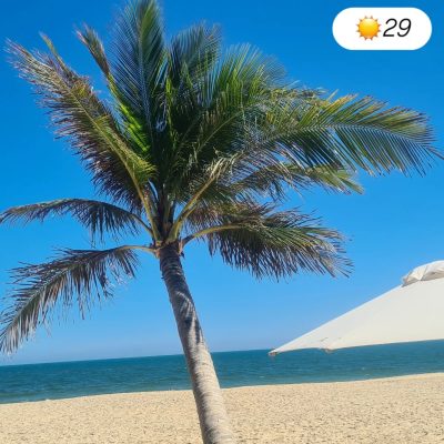 Mui Ne Beach в марте — фото погоды (2026-03-01)