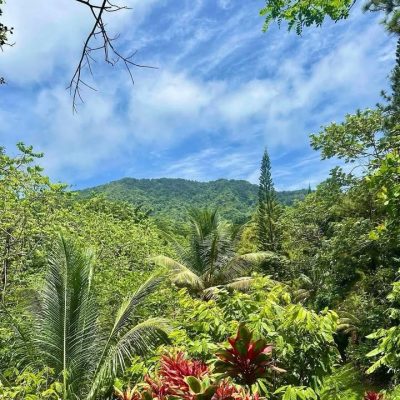 Rainforest Adventures St. Lucia в марте — фото погоды (2026-03-25)