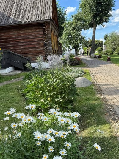 Пушкарская Слобода в июле — фото погоды (2026-07-15)