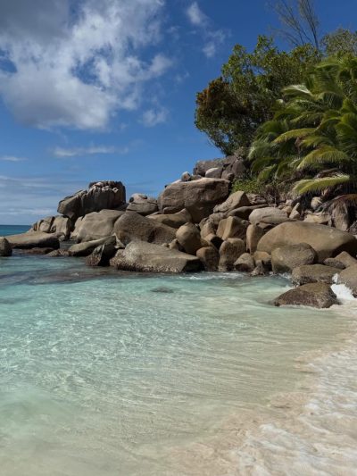 Vallee de Mai, Praslin, Seychelles в январе — фото погоды (2026-01-26)