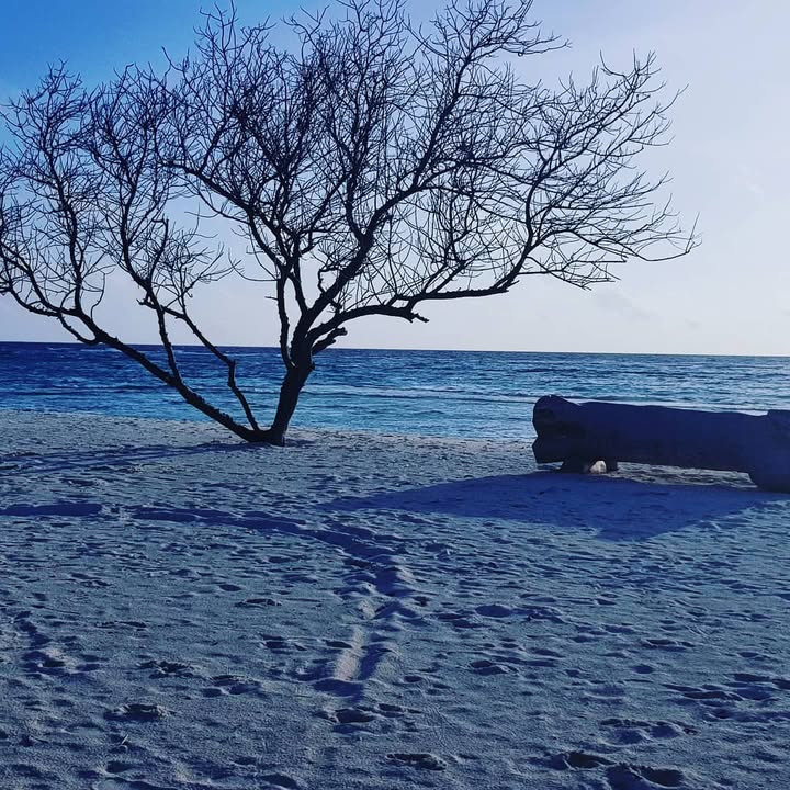 Погода в Наифару