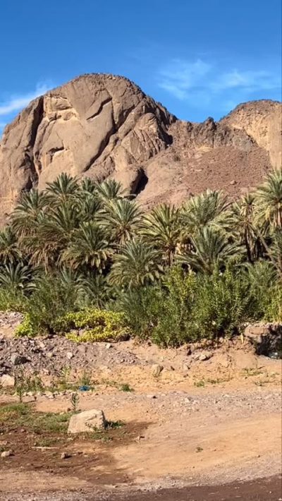 Oasis De Fint в ноябре — фото погоды (2025-11-17)
