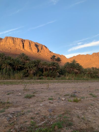 Oasis De Fint в январе — фото погоды (2026-01-15)