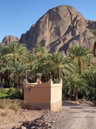 Oasis De Fint в январе — фото погоды (2026-01-22)