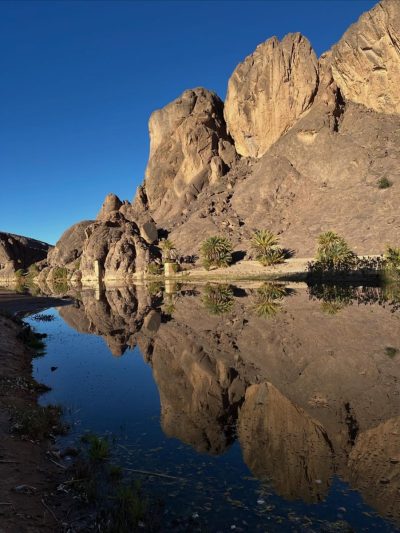 Oasis De Fint в январе — фото погоды (2026-01-29)