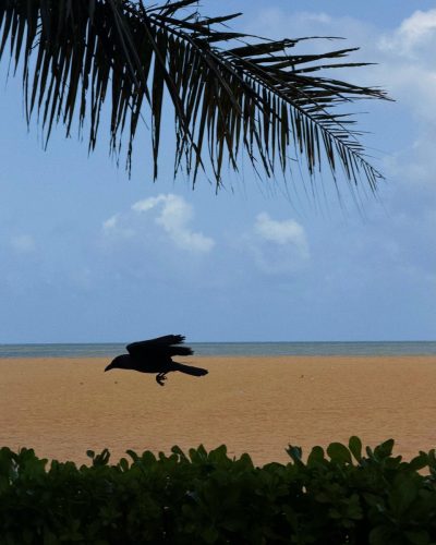 Negombo, Sri Lanka в мае — фото погоды (2026-05-31)