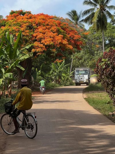 Kizimkazi, Zanzibar в июне — фото погоды (2026-06-26)