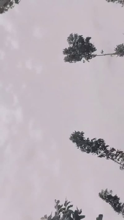 Пхукет в июле — фото погоды (2026-07-07)