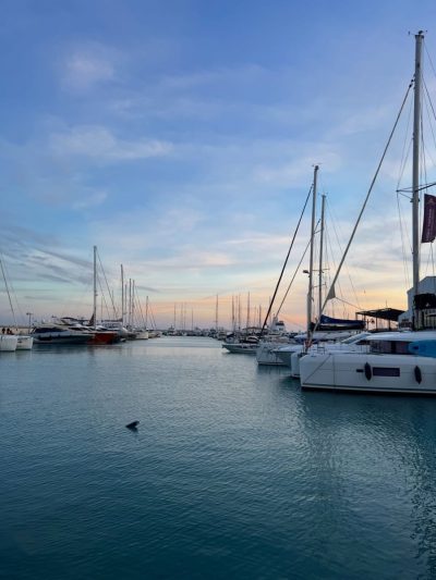 Marina Limassol в январе — фото погоды (2026-01-05)