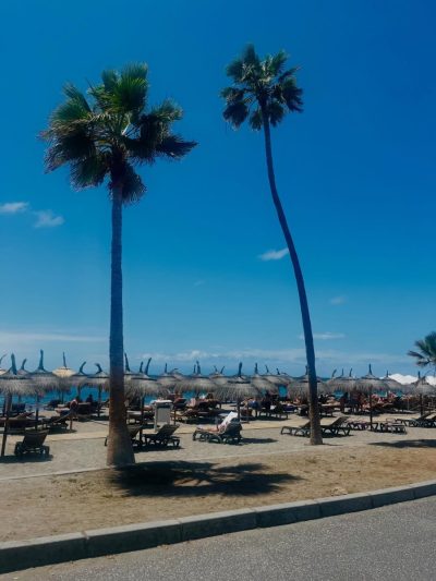 Fañabe Beach, Tenerife, Spain — фото погоды в апреле (2026-04-29)