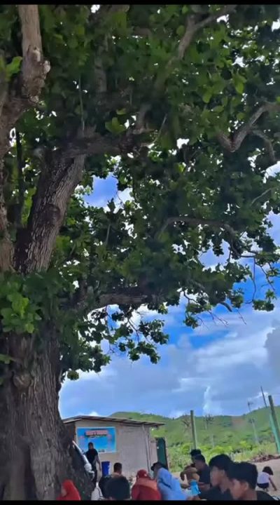 Pantai Mawun Lombok Tengah NTB в январе — фото погоды (2026-01-04)
