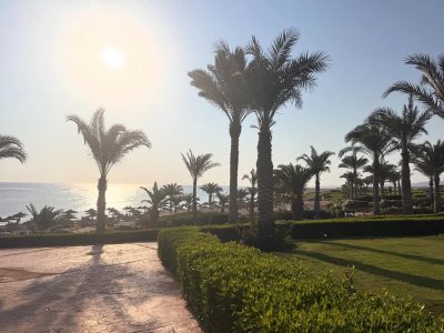 Marsa Alam Egypt Fantazia Resort — фото погоды в ноябре (2025-11-16)